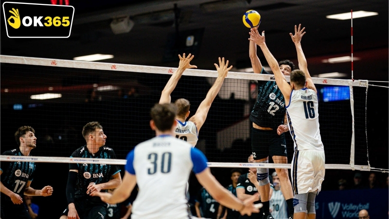 Các loại hình cá cược OK365 bóng chuyền phổ biến