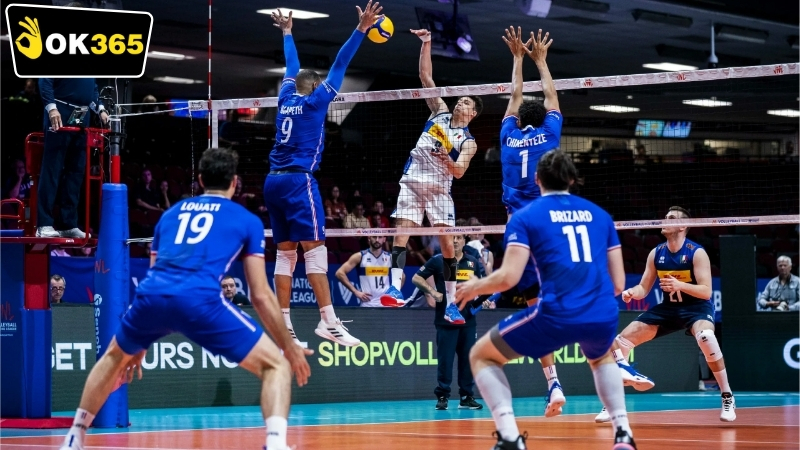 Chiến lược cá cược OK365 bóng chuyền hiệu quả