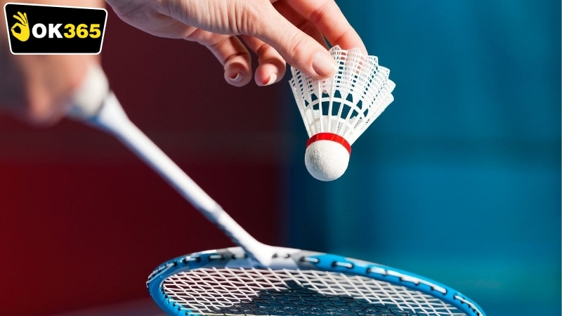 Ưu điểm nổi bật của OK365 cầu lông