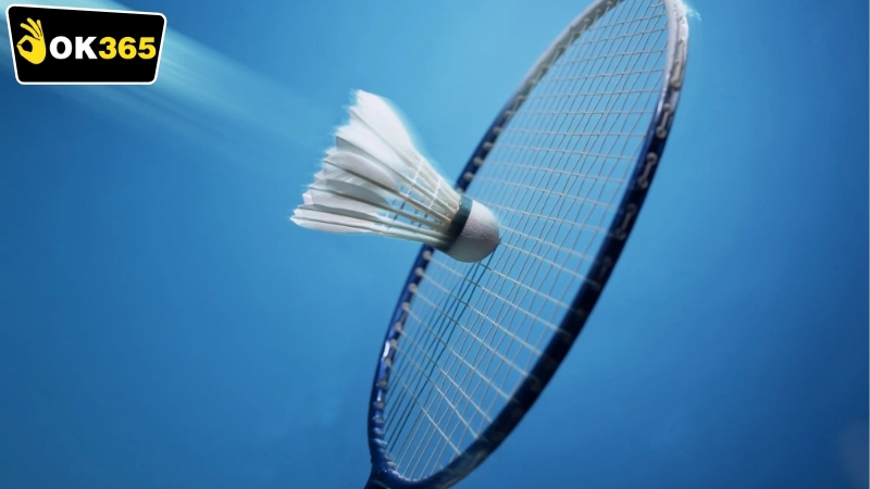 Các loại hình cá cược OK365 cầu lông phổ biến