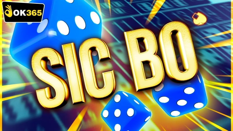 Các loại cược trong OK365 sicbo và phân tích tỉ lệ trả thưởng