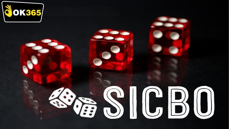 Lời khuyên cho người chơi mới khi tham gia Sicbo