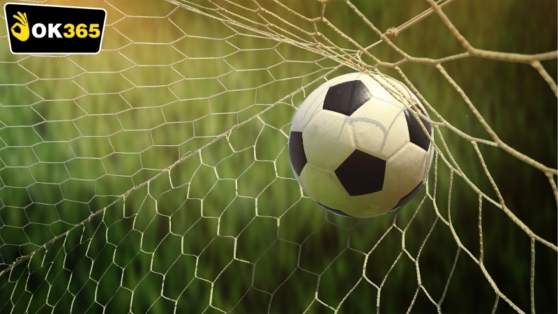 Các loại OK365 tỷ lệ cược khác nhau