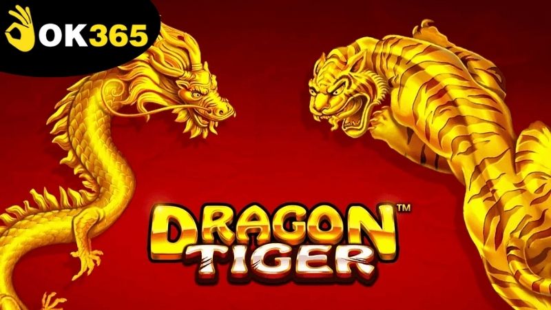 Cách chơi rồng hổ tại OK365