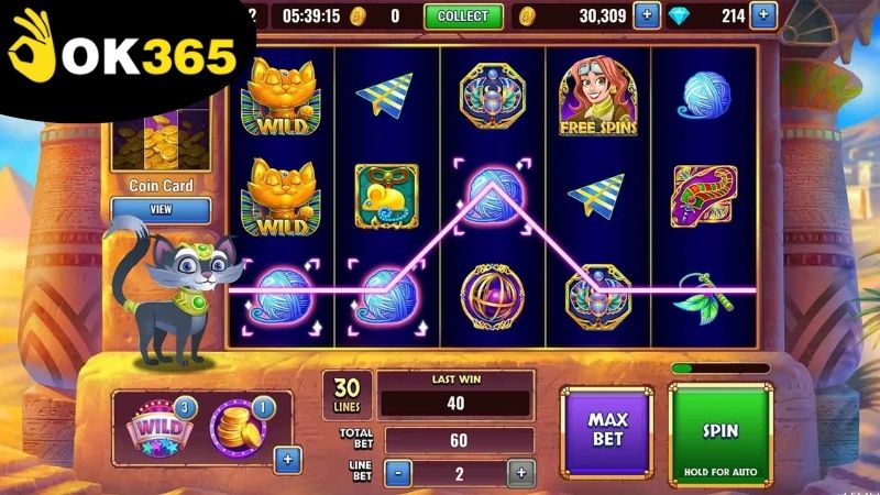 Cách sử dụng chế độ quay tự động