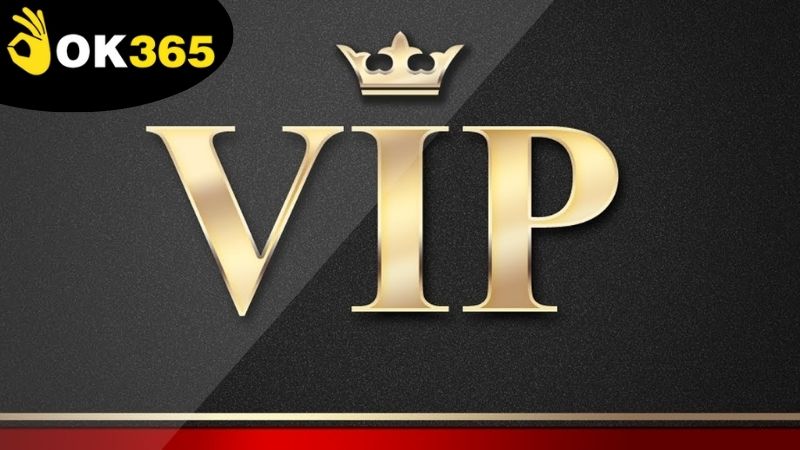 Các loại ưu đãi thành viên VIP OK365 đặc biệt nhất đang có hiện nay