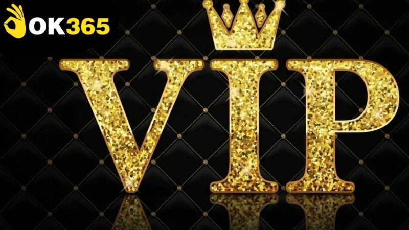 Hướng dẫn cách để tận dụng tối đa các ưu đãi thành viên VIP OK365